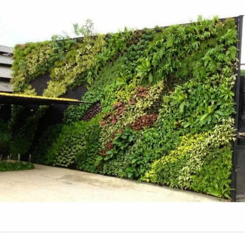 Natural PVC Vertical Garden Development,Green Wall