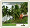 Roamantic Kerala Package Tours