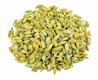 Green Singapore Fennel Seed