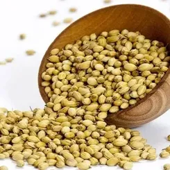 Coriander Seeds