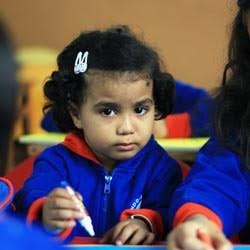 Preschool Franchise Network Services