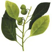 Natural Triphala