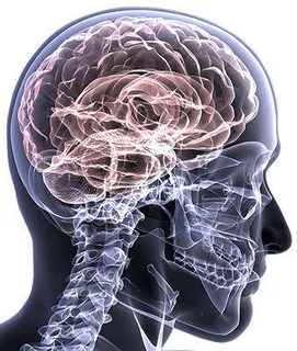 Neurology And Neuro Surgery Traetment Services