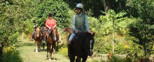 Horse Riding Tour