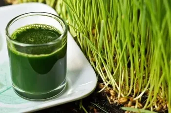 Wheat Grass Juice, Bottled Packaging