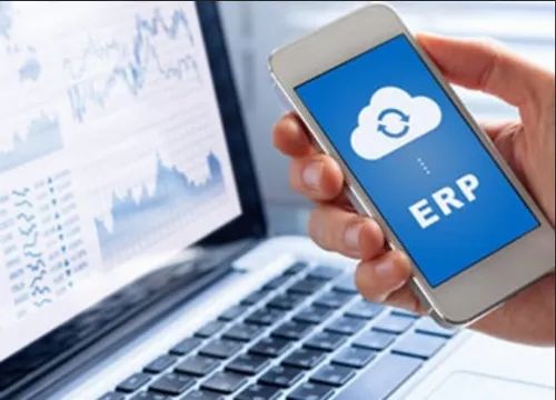 ERP Implementation Service