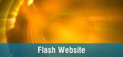 Flash Website Service