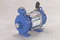 Pisces Mark-2 Open Well Domestic Submersible Pump