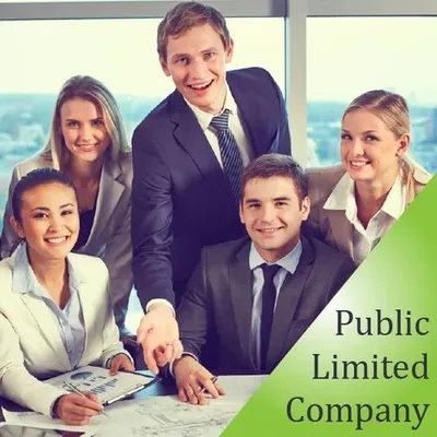 Public Limited Company