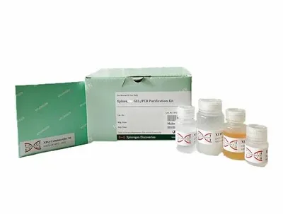 Xploregen PCR/GEL Purification Kit