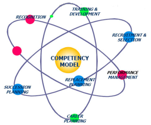 Competency Framework Development