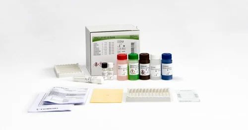 Fujirebio INNO LIA HIV IMMUNOBLOT ( WESTERN BLOT)