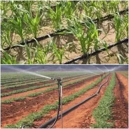 Drip/Sprinkler Irrigation System