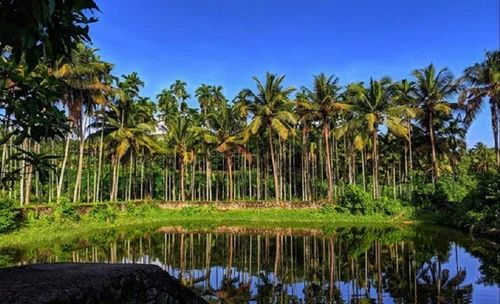 4 Person South India Village Tour Packages
