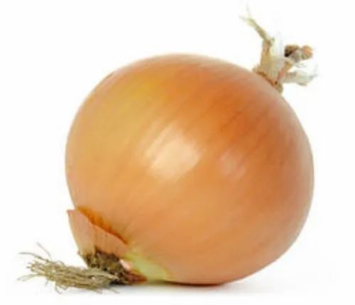 A Grade Dry Fresh Brown Onion, Gunny Bag, Packaging Size: 50 Kg