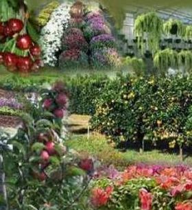 Horticulture & Land Development