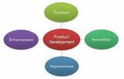 Product Co-Development Service
