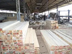 Sawn Timber