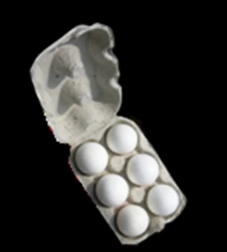 GC CO White 6 Egg Box, For Retailing Of Eggs, Size: *310 X 155 X 72