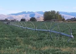 Irrigation Systems