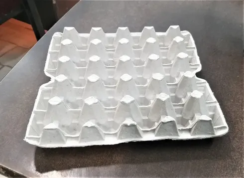 25 Lbs Egg Tray for 20 Eggs for Extra Large eggs