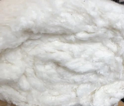 Mohini White Organic Cotton, For Filling Material, Packaging Size: 25 Kg