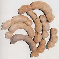 Tamarind Pods