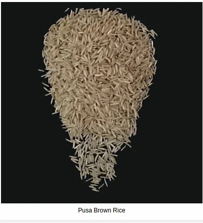 Pusa Brown Rice
