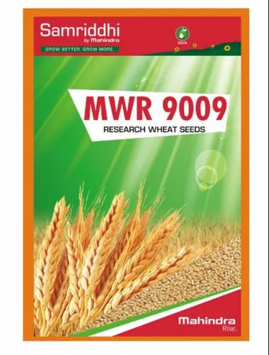 Samriddhi MWR 9009 Research Wheat Seeds