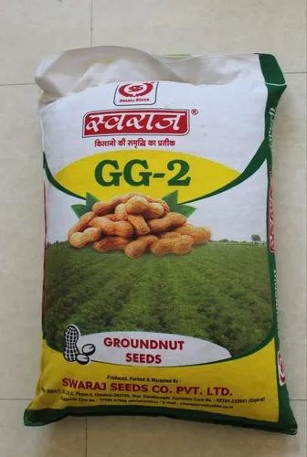 GG-2 Groundnut Seeds