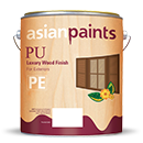 PU for Exteriors Paint